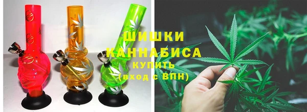 амф Майский