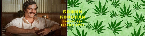 ГАЛЛЮЦИНОГЕННЫЕ ГРИБЫ Магадан
