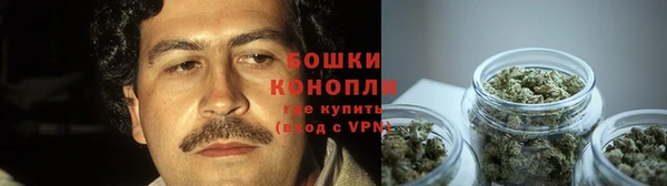 тгк Магас