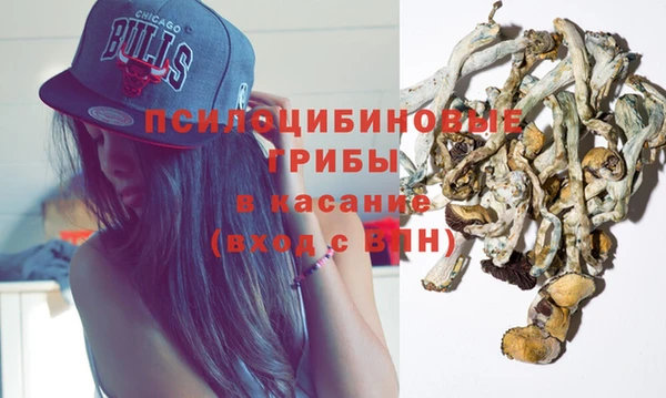 ГАЛЛЮЦИНОГЕННЫЕ ГРИБЫ Магадан