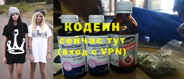 хмурый Александровское