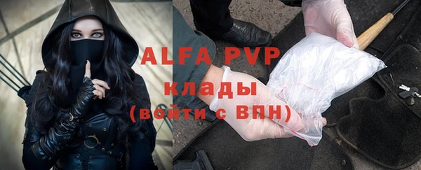 тгк Магас