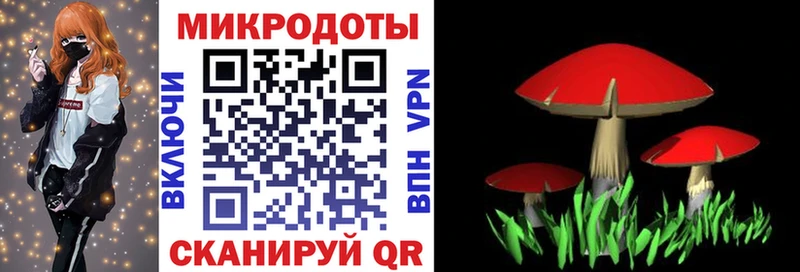 купить  цена  Эртиль  omg как зайти  Галлюциногенные грибы GOLDEN TEACHER 